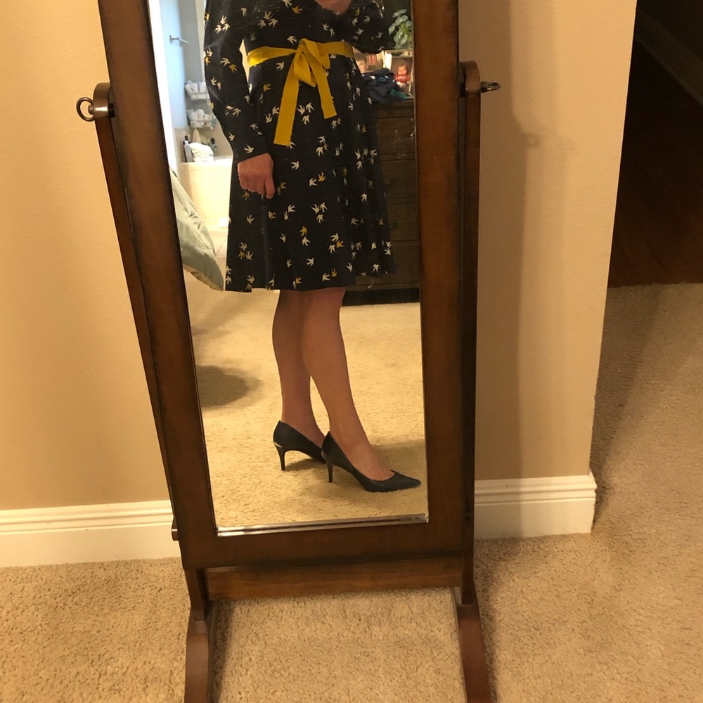 Petite Shirt dress